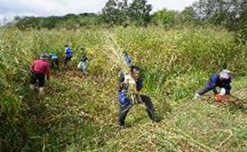 トヨタ自動車東日本株式会社 環境・CSR 環境保全の取り組み