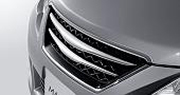 Plated grill image