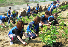 植樹の様子