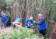 伸び放題の竹を伐採