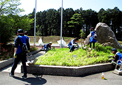 エントランスにある花壇の草取り