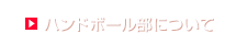 ハンドボール部について